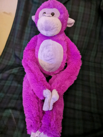 smyths monkey teddy
